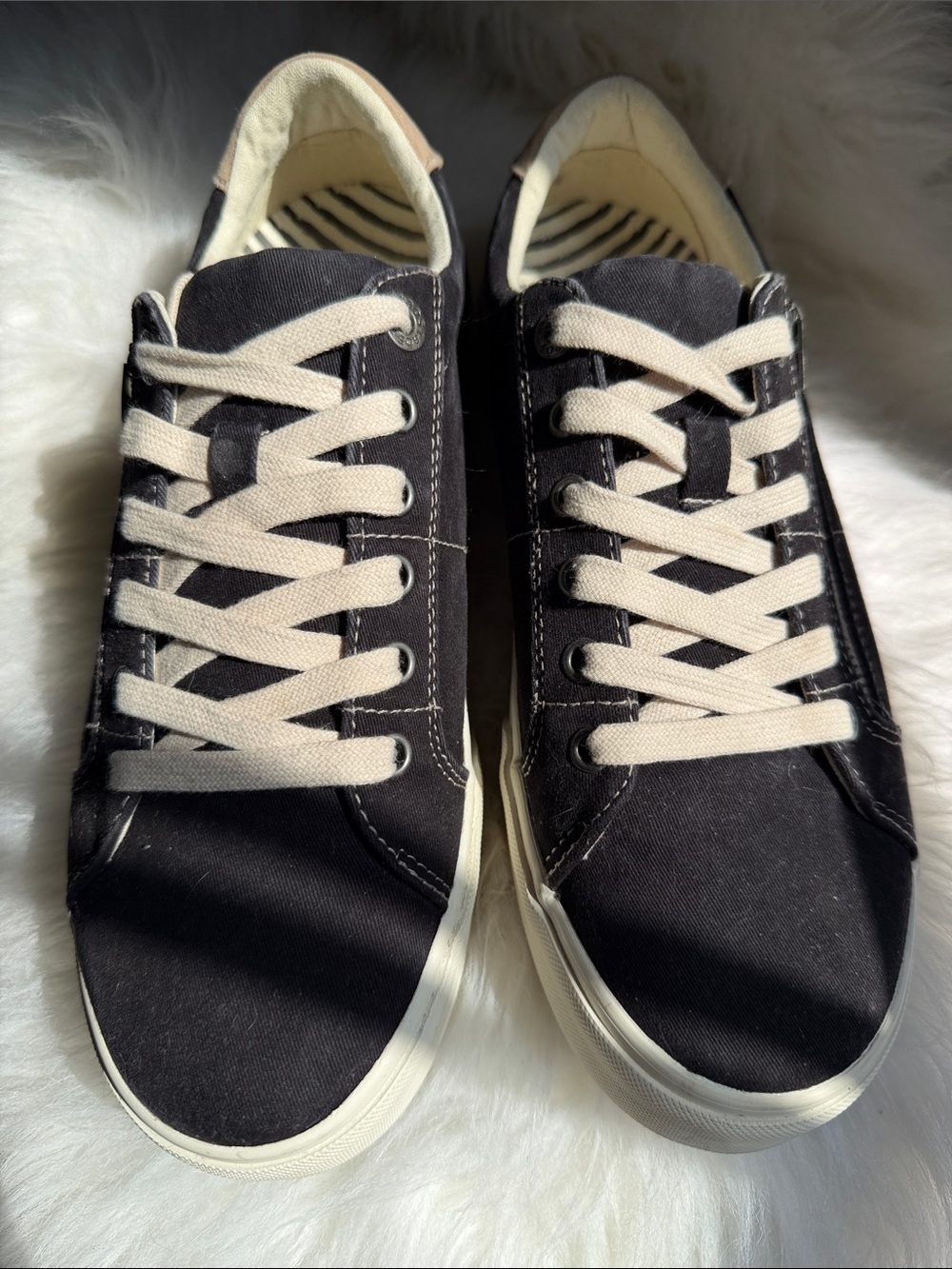 Taos Footwear Black Canvas Sneakers with Cream Laces
